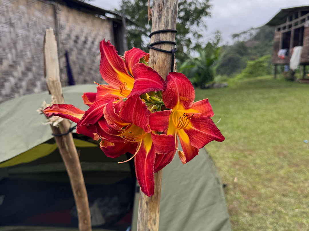 South Sea Horizons-Kokopo必去景点