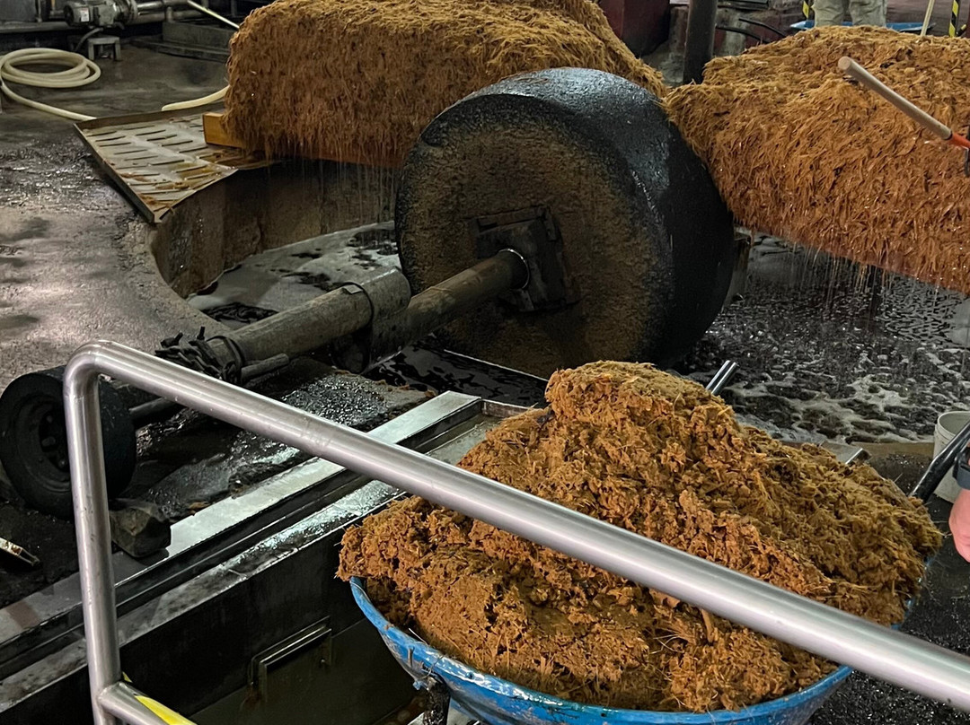 Tequila Fortaleza-特基拉必去景点