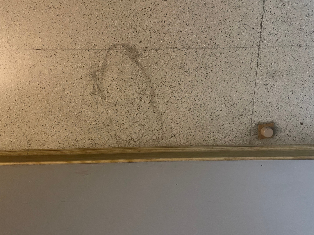 Hotel Montmelo主图