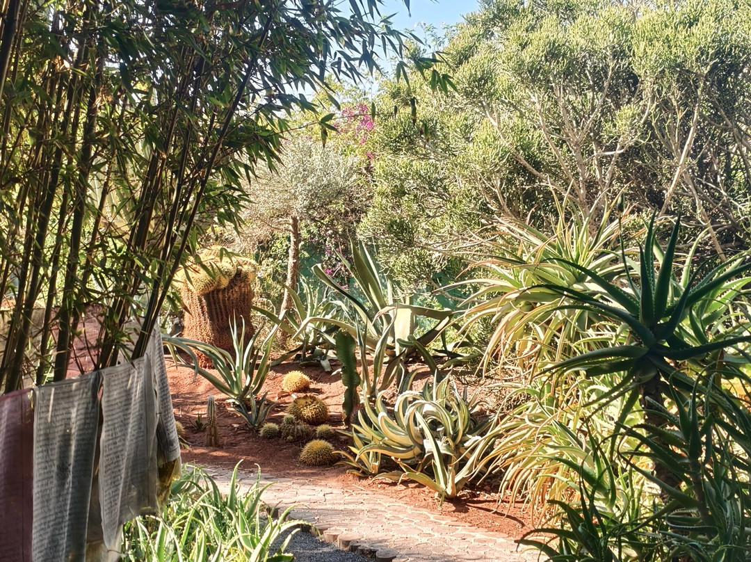 Click Exursions-马拉喀什必去景点