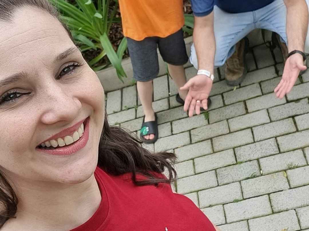 Spitz Pomer-Pomerode必去景点