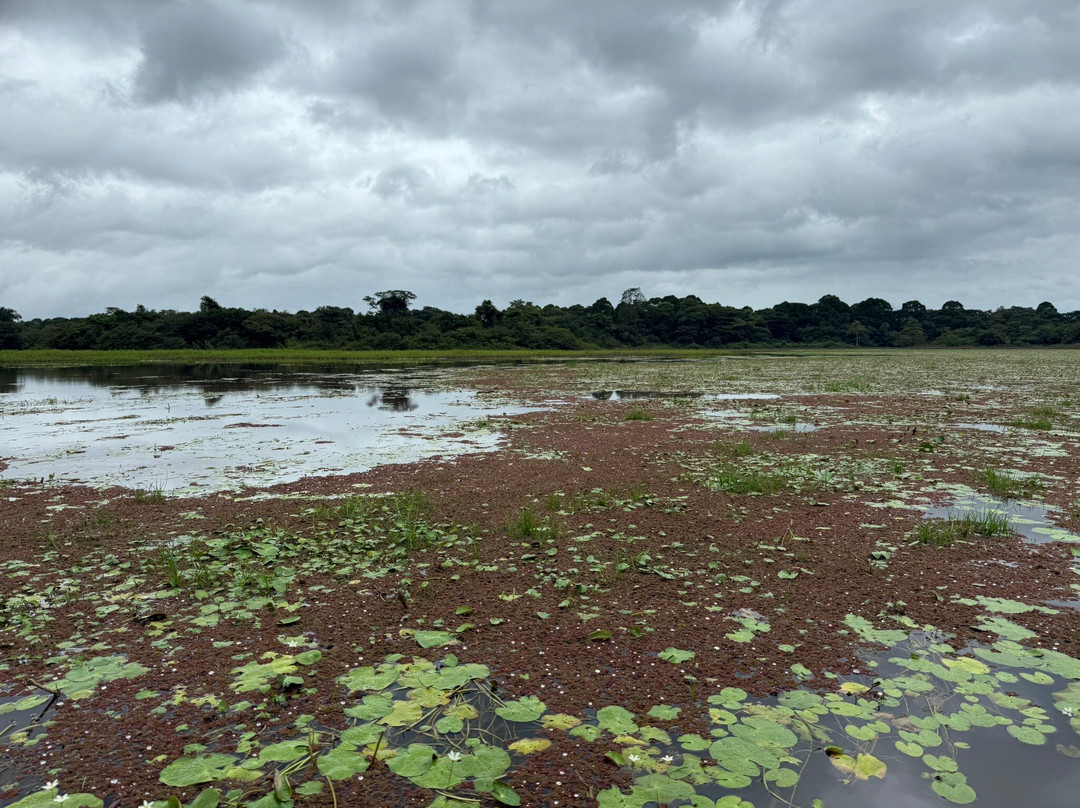 Caño Negro Wildlife Refuge-Cano Negro必去景点