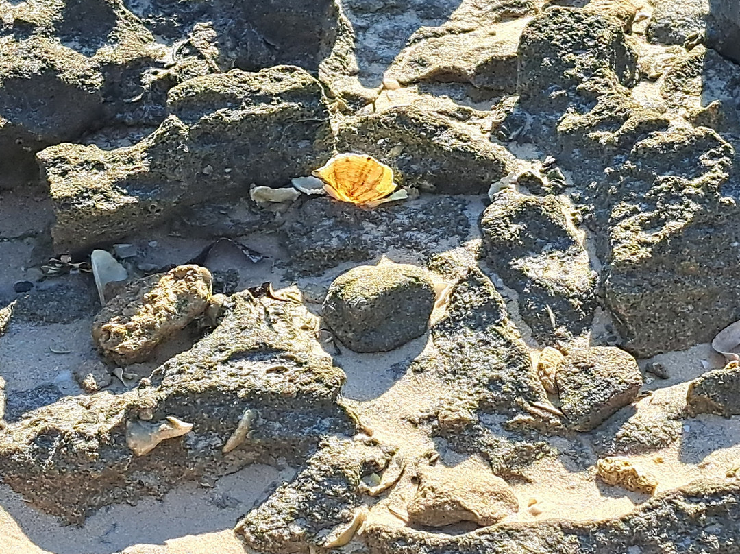 Villas do Indico Ocean Eco-Resort & Spa主图