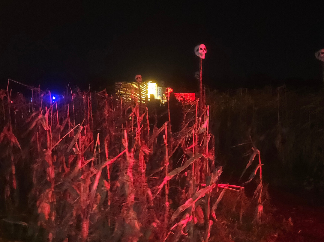 Quex Adventure Farm Park-Birchington必去景点