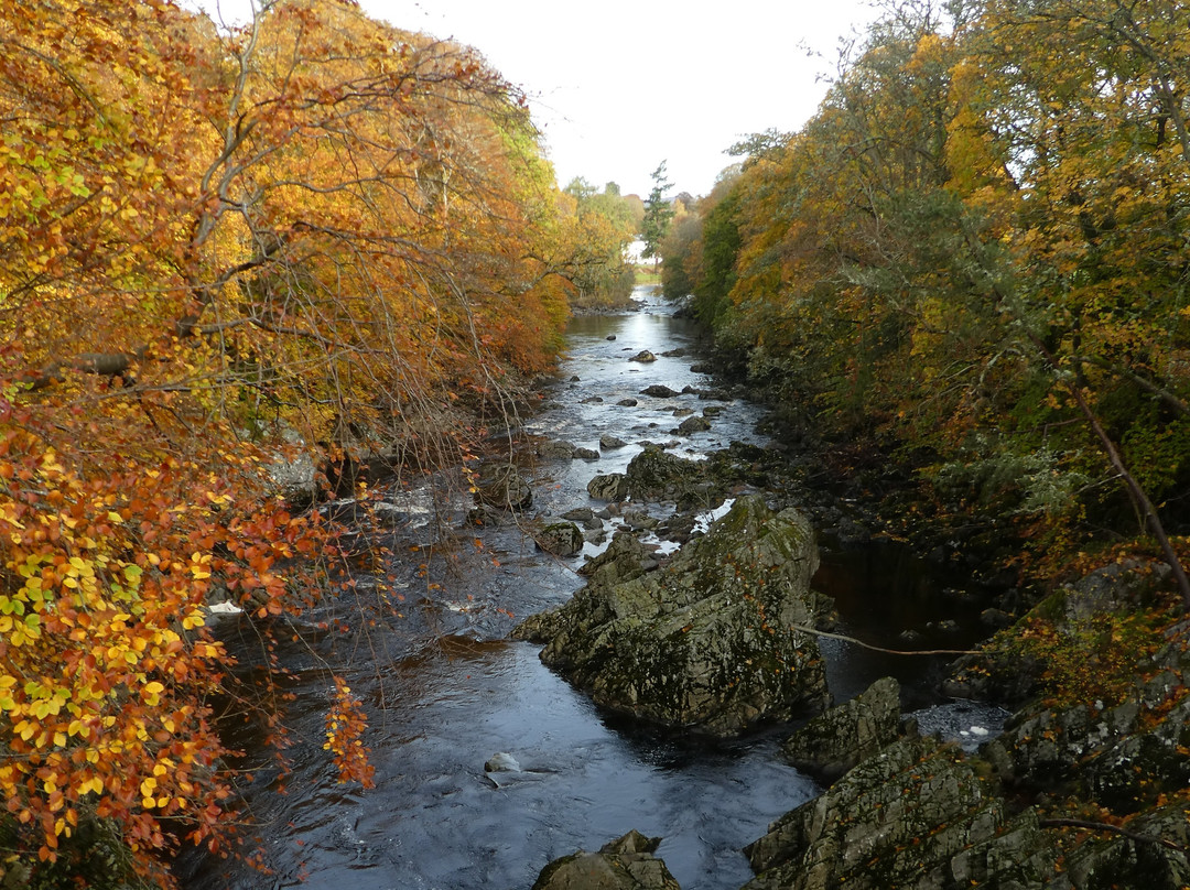 Banchory Lodge Hotel主图