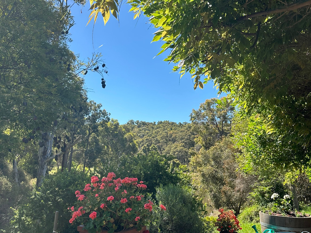 Henty Lodge Bed & Breakfast主图