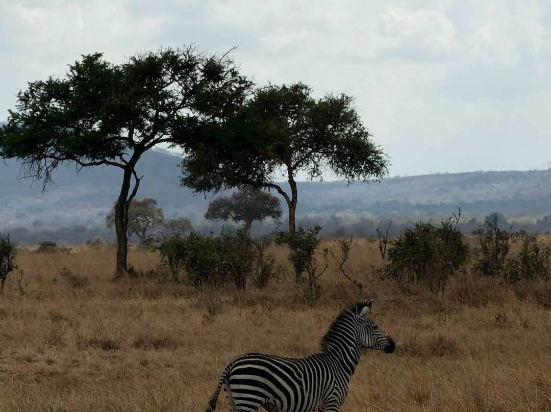 Kelvin Safaris-Mikumi必去景点