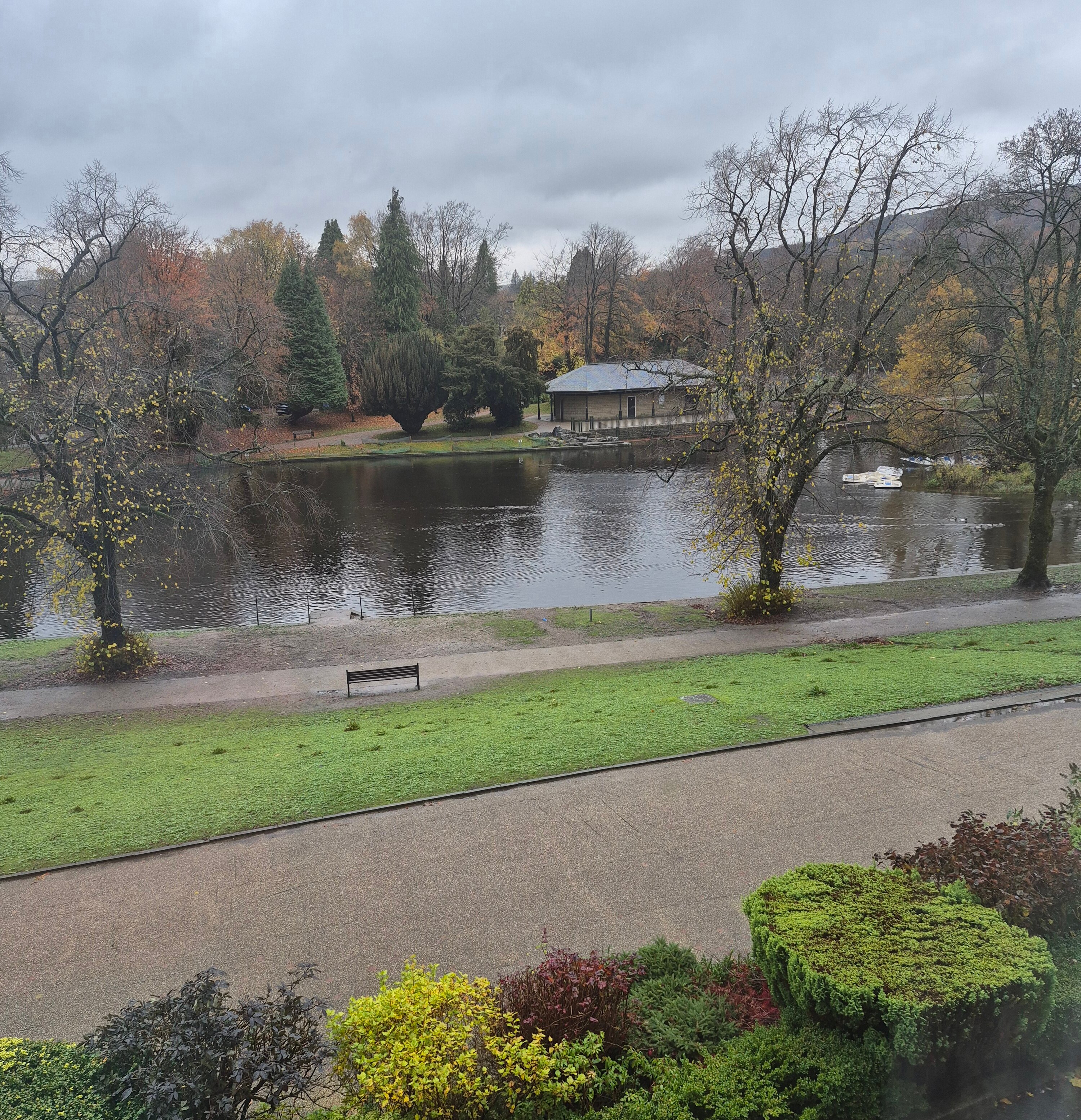 Roseleigh-酒店景观