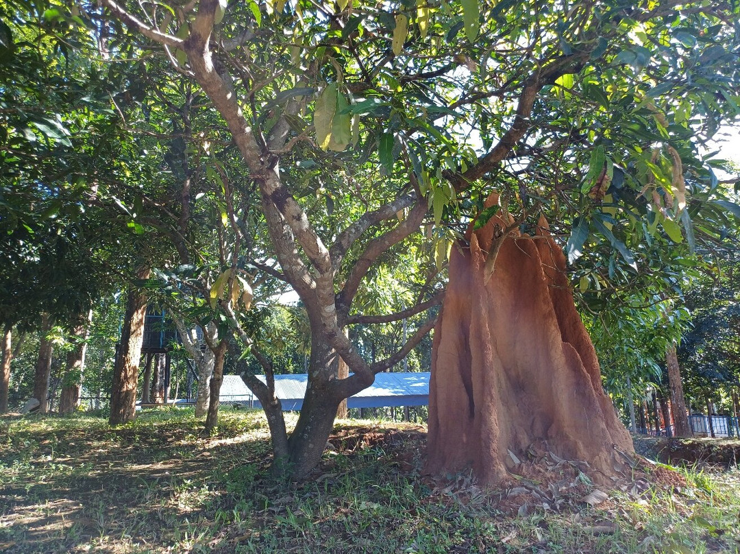 Martyr Memorial Park-Hetauda必去景点