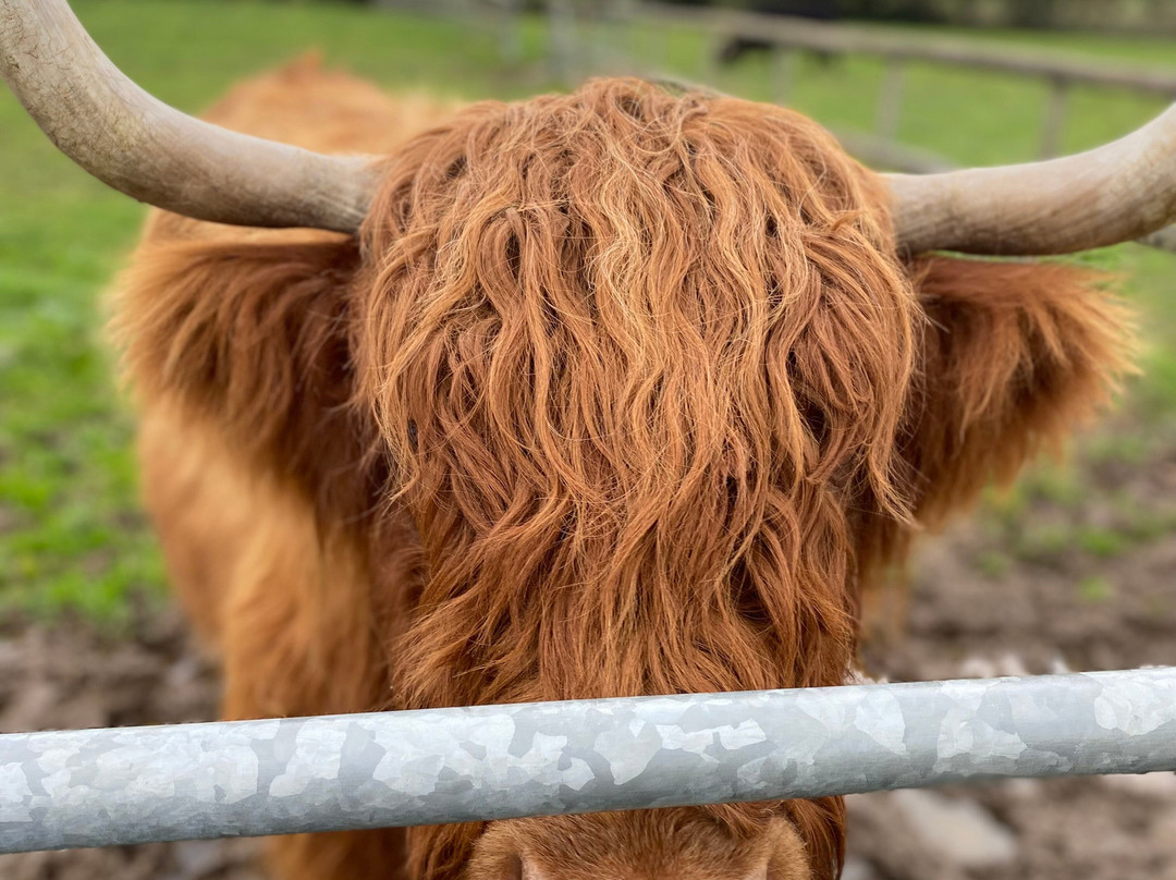 Blackberry Farm Park-刘易斯必去景点