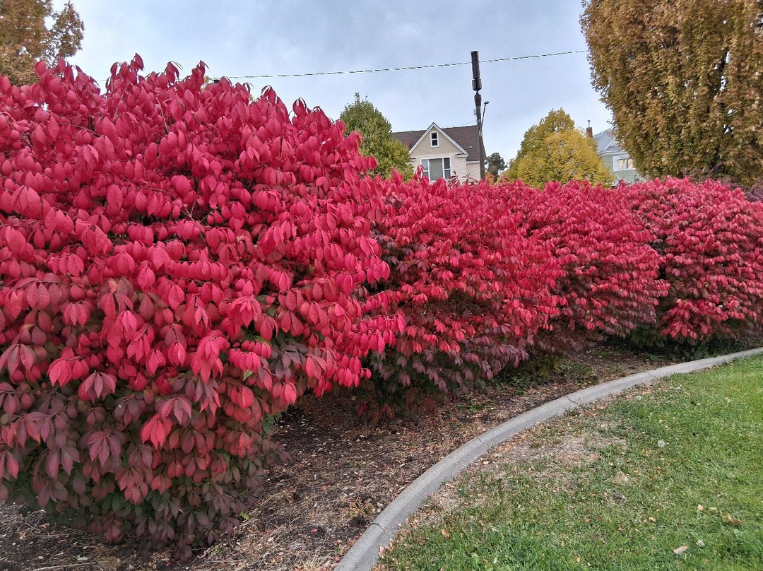 Crosby House-斯波坎必去景点