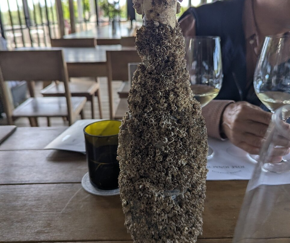 Jose Ignacio Bodega Oceanica-Jose Ignacio必去景点