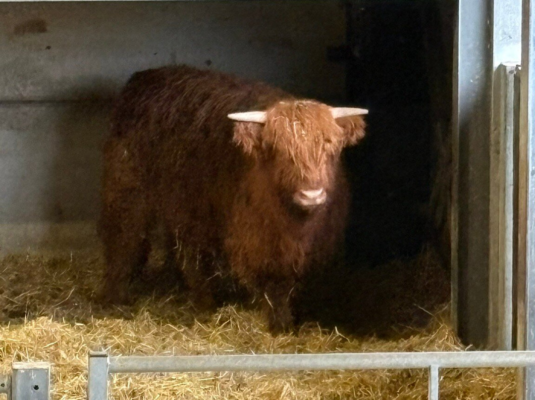 Cannon Hall Farm-Cawthorne必去景点