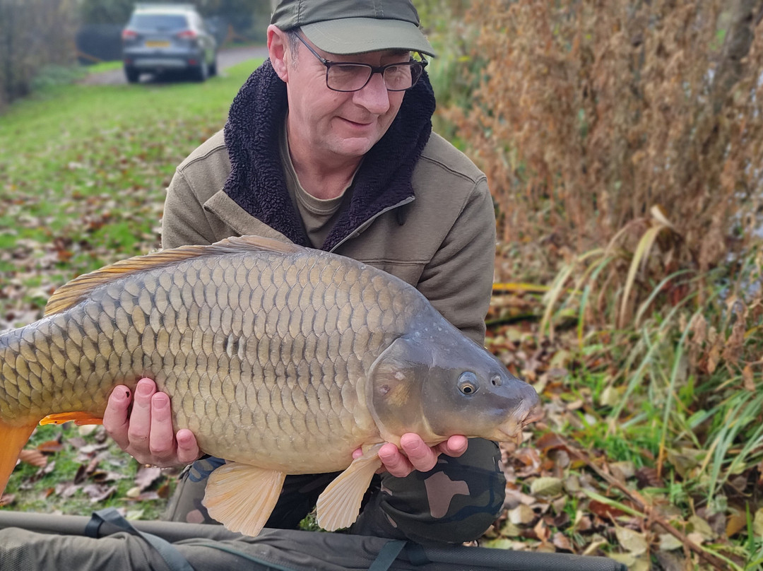 Woodlands Fishery, and Touring Park-Spilsby必去景点