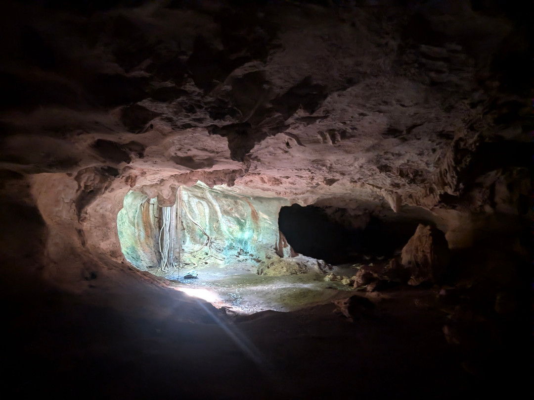 Cueva de Ambrosio-巴拉德罗必去景点