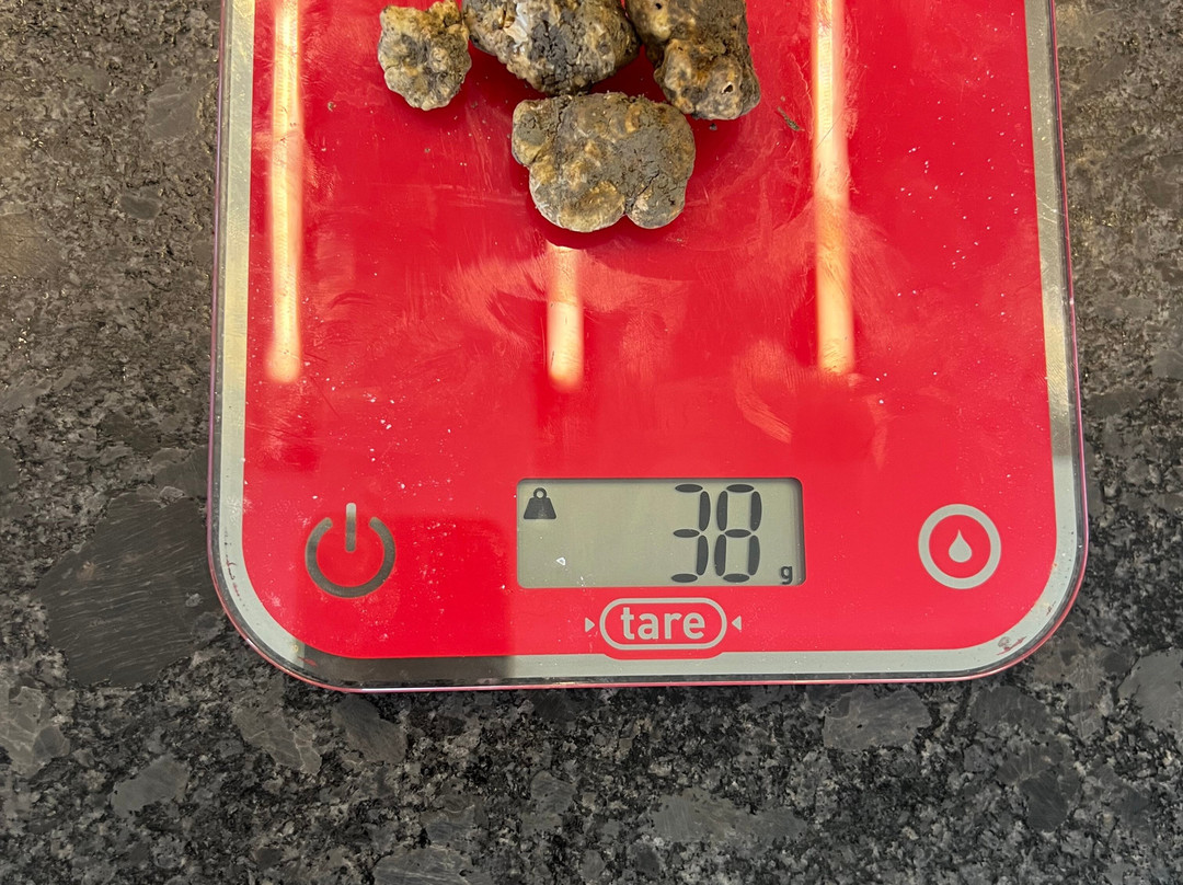 Karlic Tartufi-Buzet必去景点