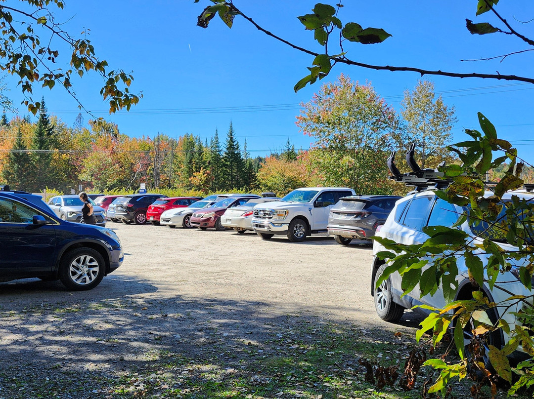 Les Marais du Nord-Stoneham-et-Tewkesbury必去景点
