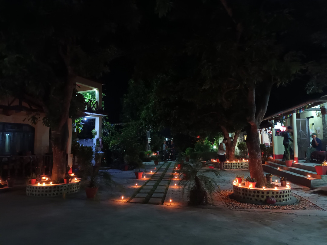 Bardia Homestay主图