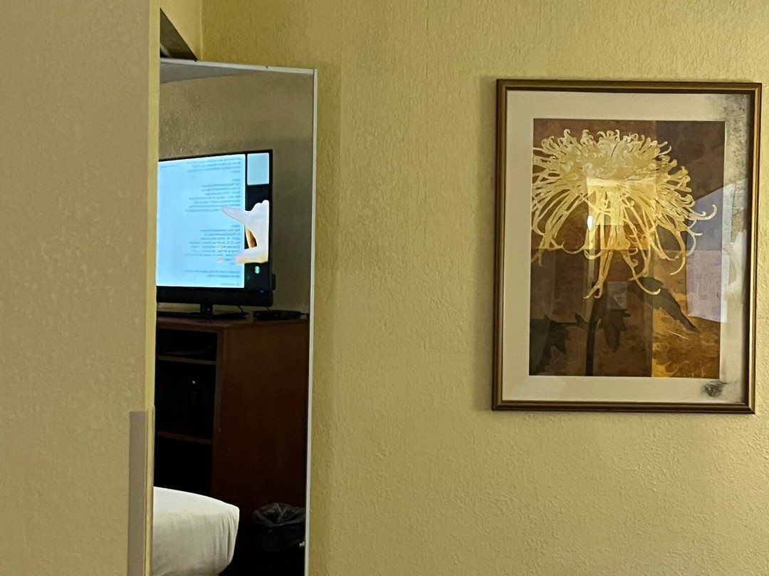 Best Western Plus Richmond Airport Hotel主图