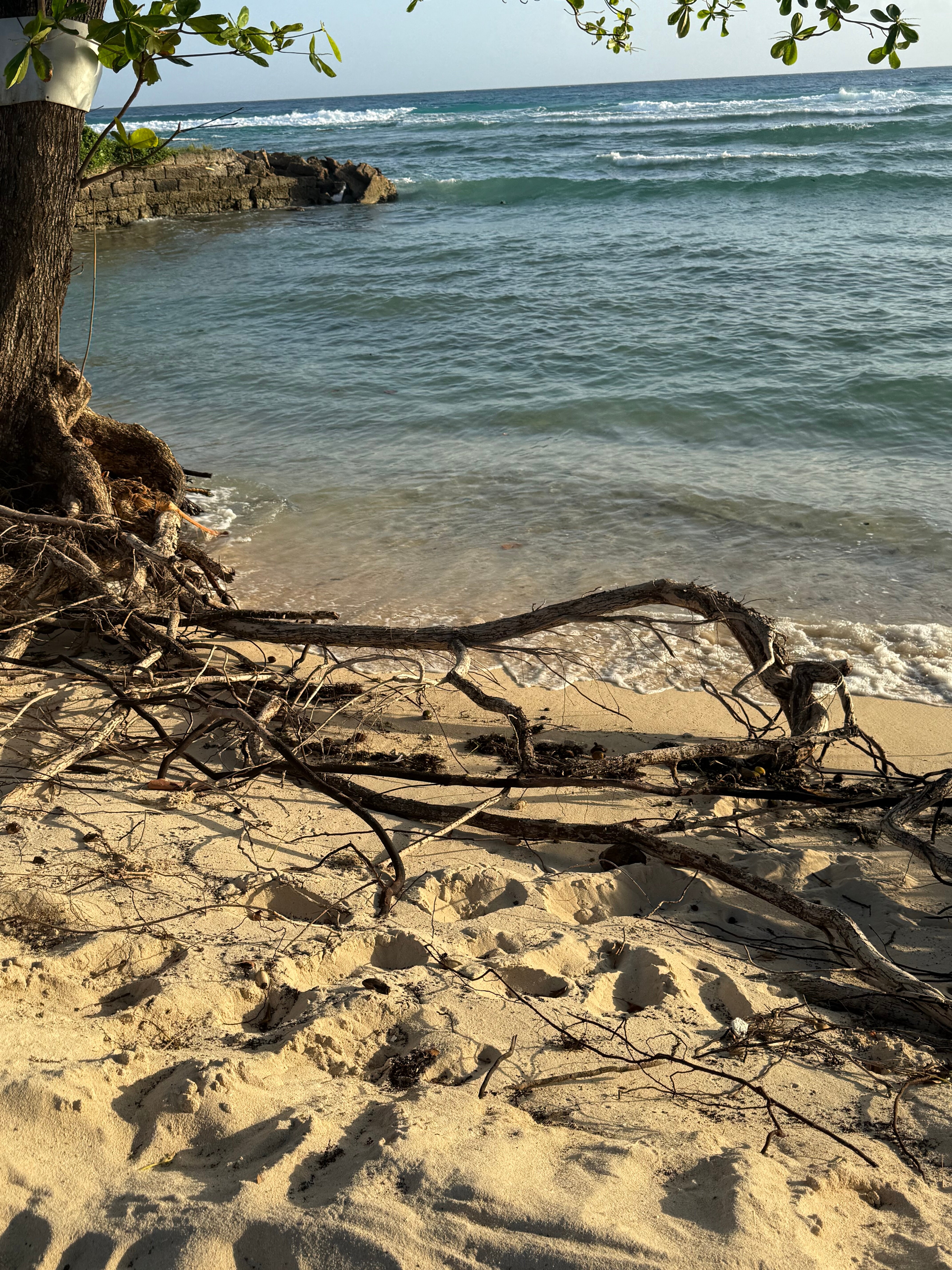 萨瓦纳酒店-官方