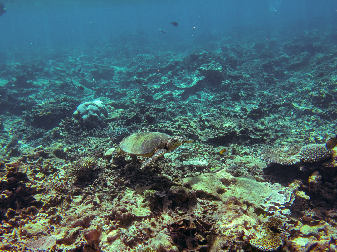 Addu Travel and Tours-Meedhoo必去景点