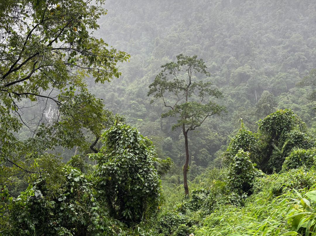 Jungle Boss Tours-峰牙－己榜国家公园必去景点