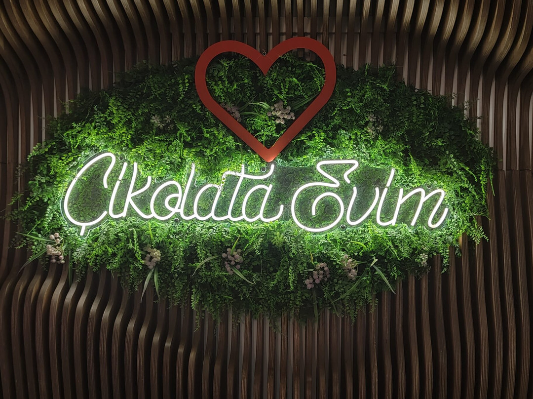 Chocolate House Samsun 56s