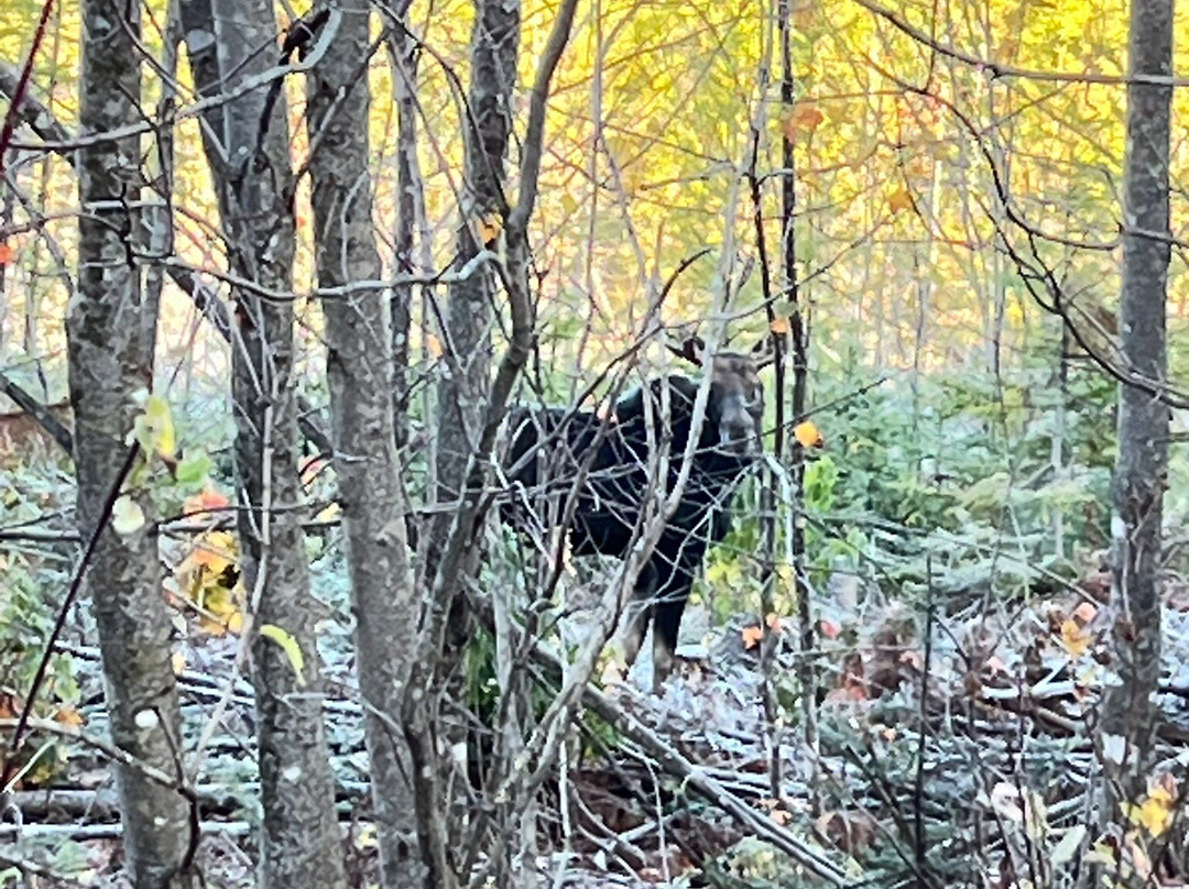 Young's Guide Service-Greenville必去景点