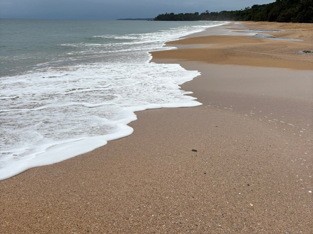 Playa Bluff-Bluff Beach必去景点