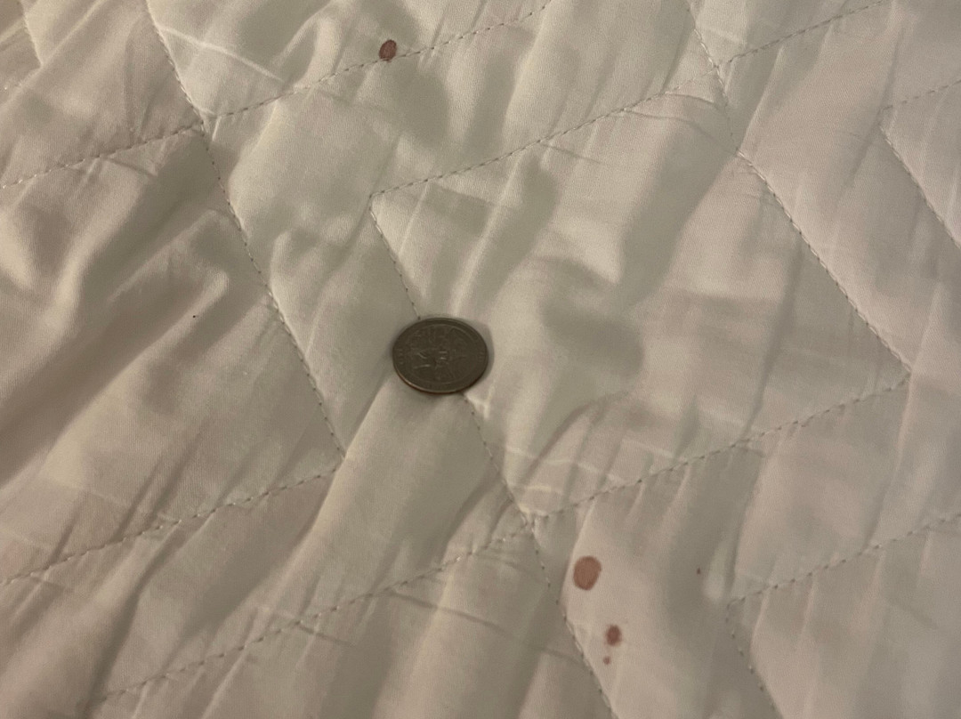 威斯汀普林斯维尔海洋度假别墅酒店主图