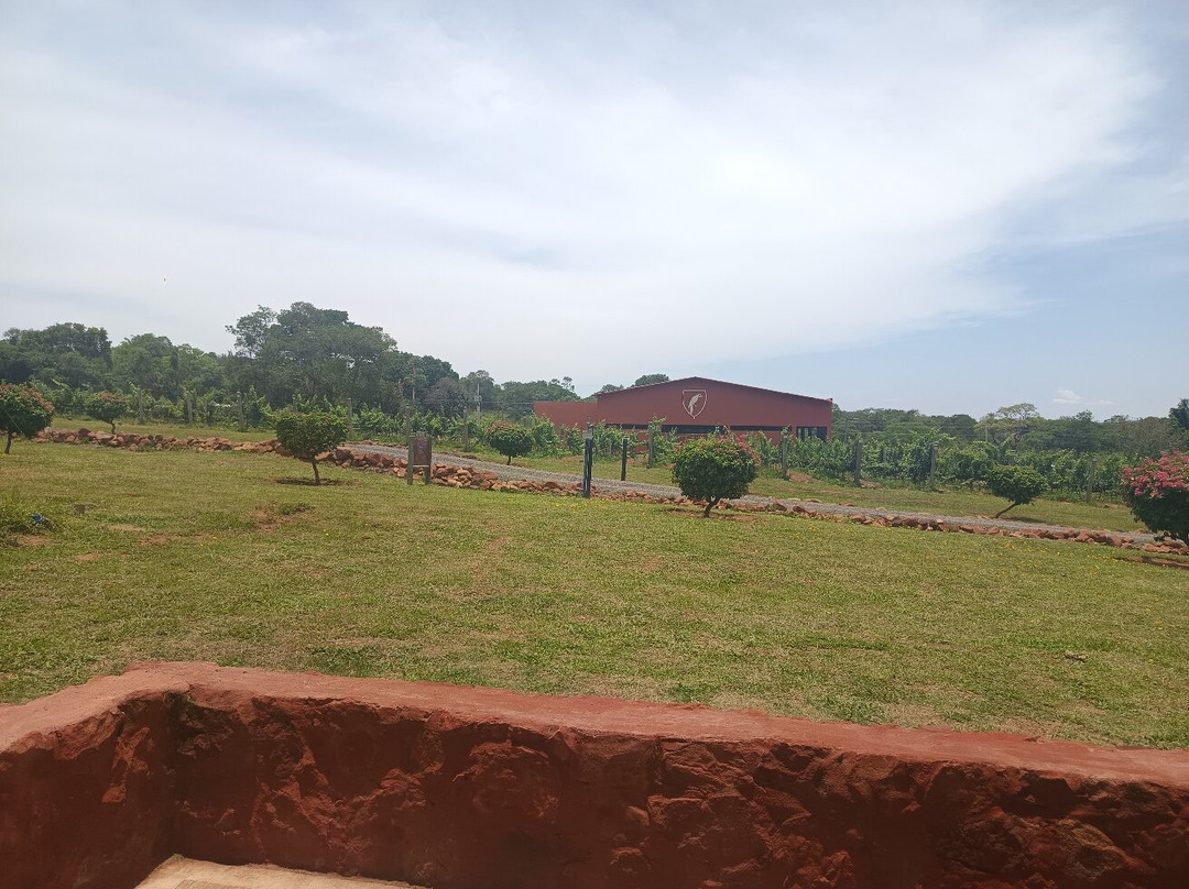 Vinícola Terroir Pantanal-Aquidauana必去景点