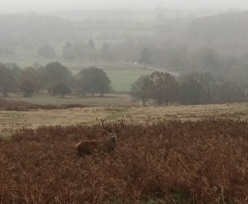布拉德盖特公园-Newtown Linford必去景点