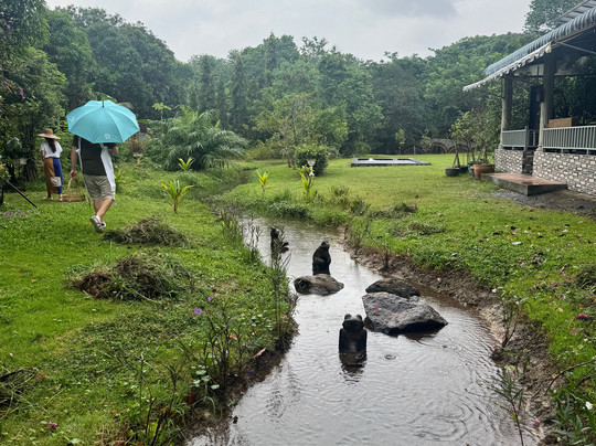 Thai Cooking with Judy-普吉岛必去景点