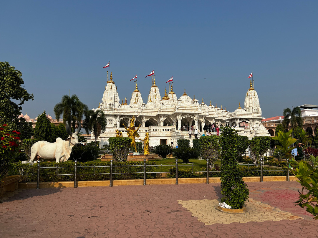 Incredible Tour To India-斋蒲尔必去景点