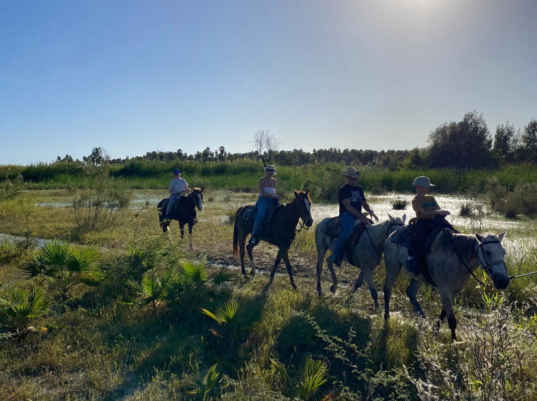 Rancho Animas-Animas Bajas必去景点