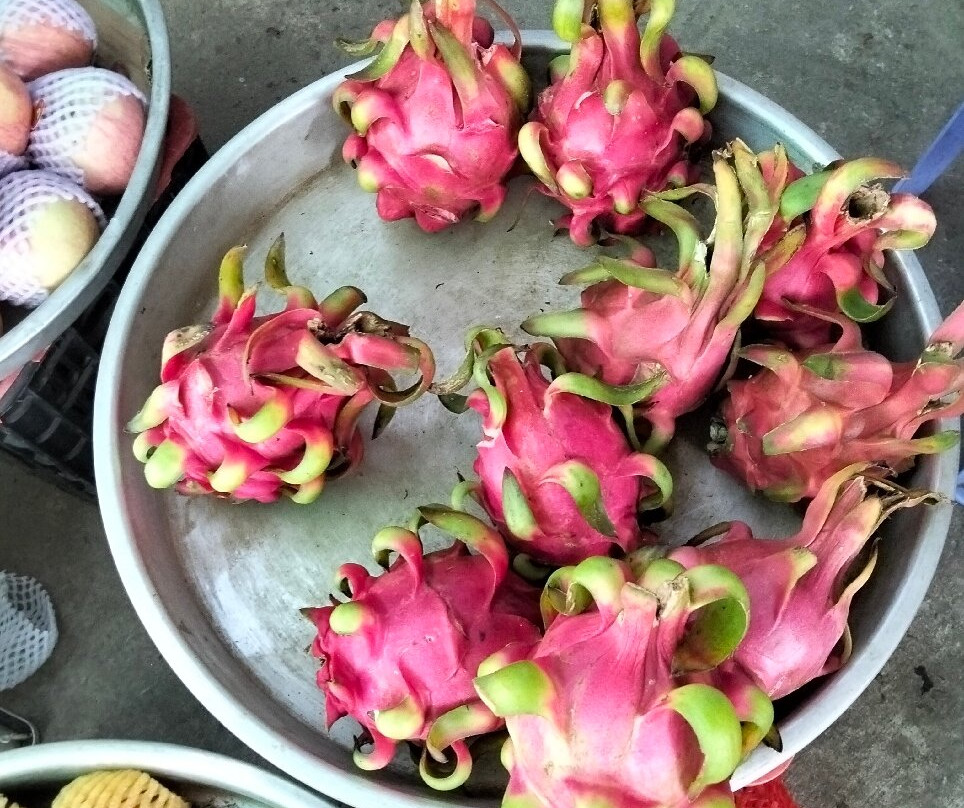 Alden Travel-朱笃必去景点