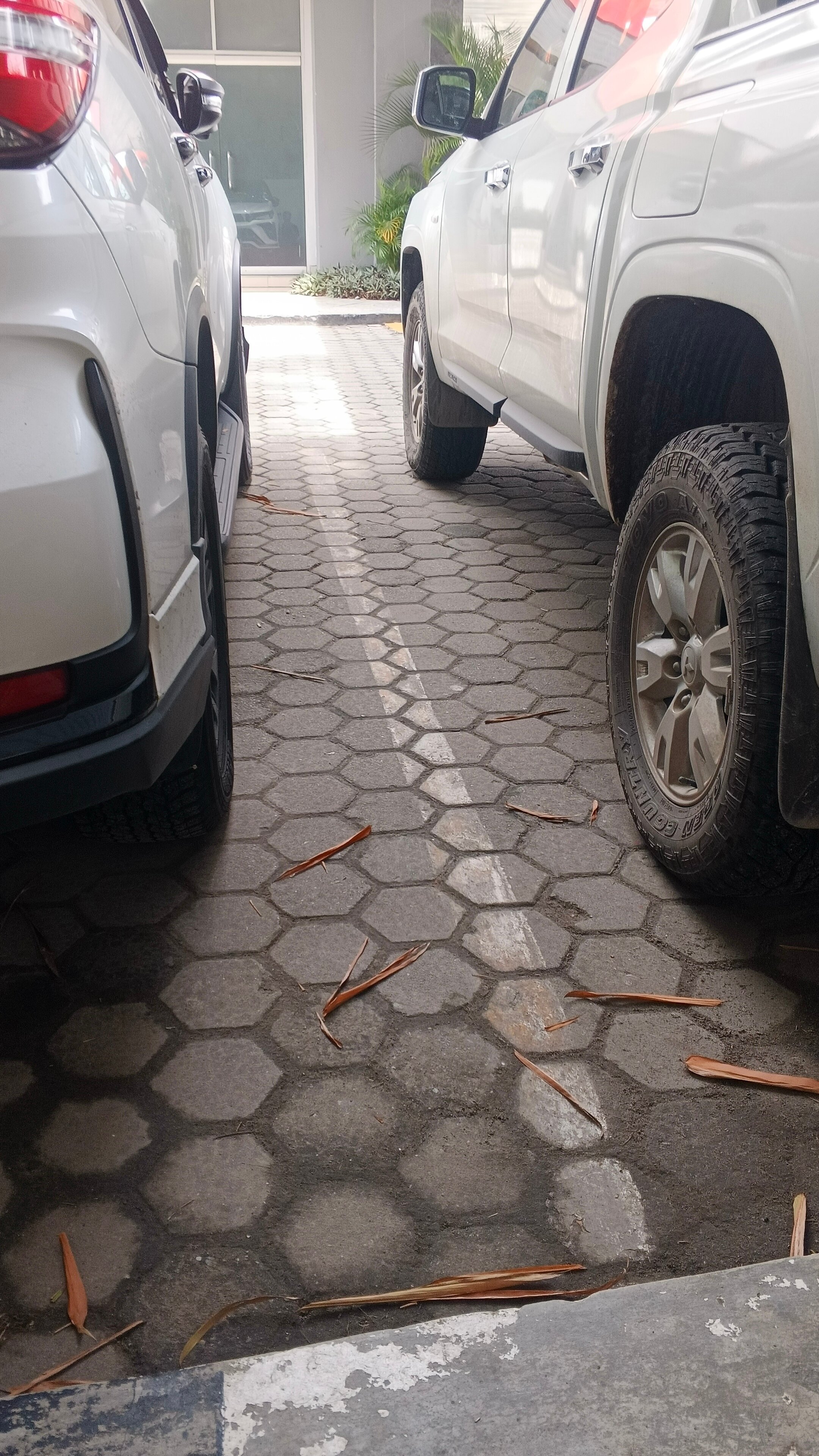 祖日杜里大酒店-官方