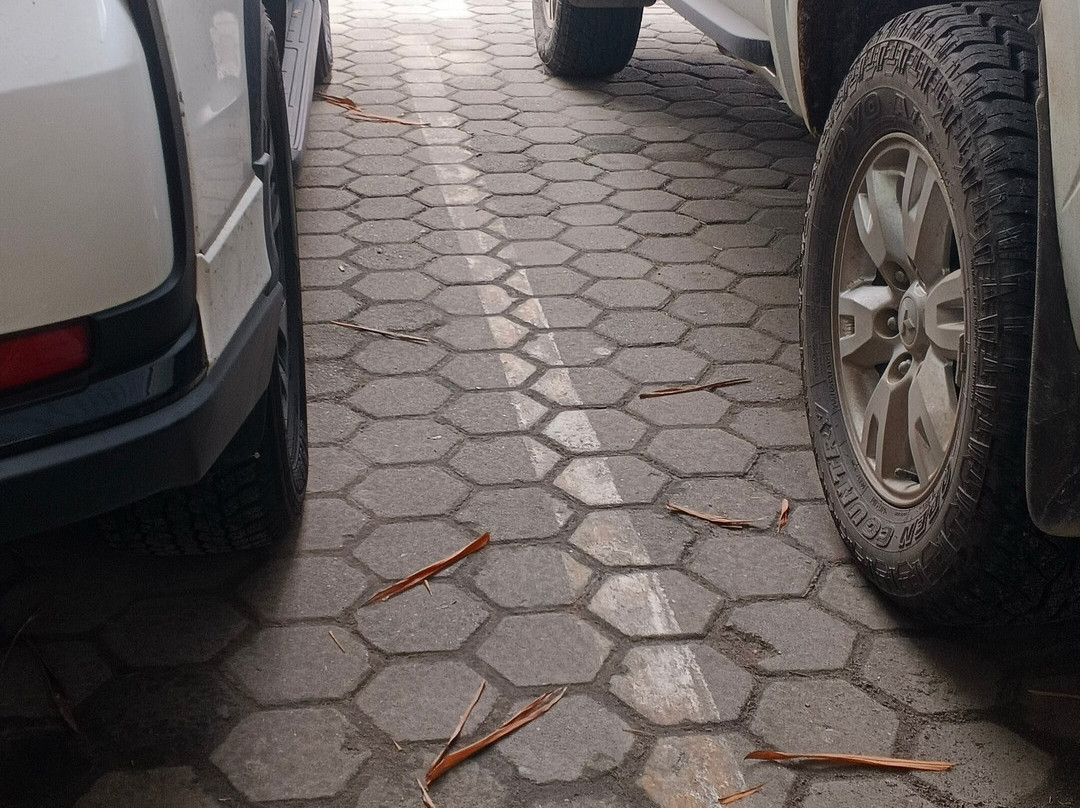 祖日杜里大酒店主图