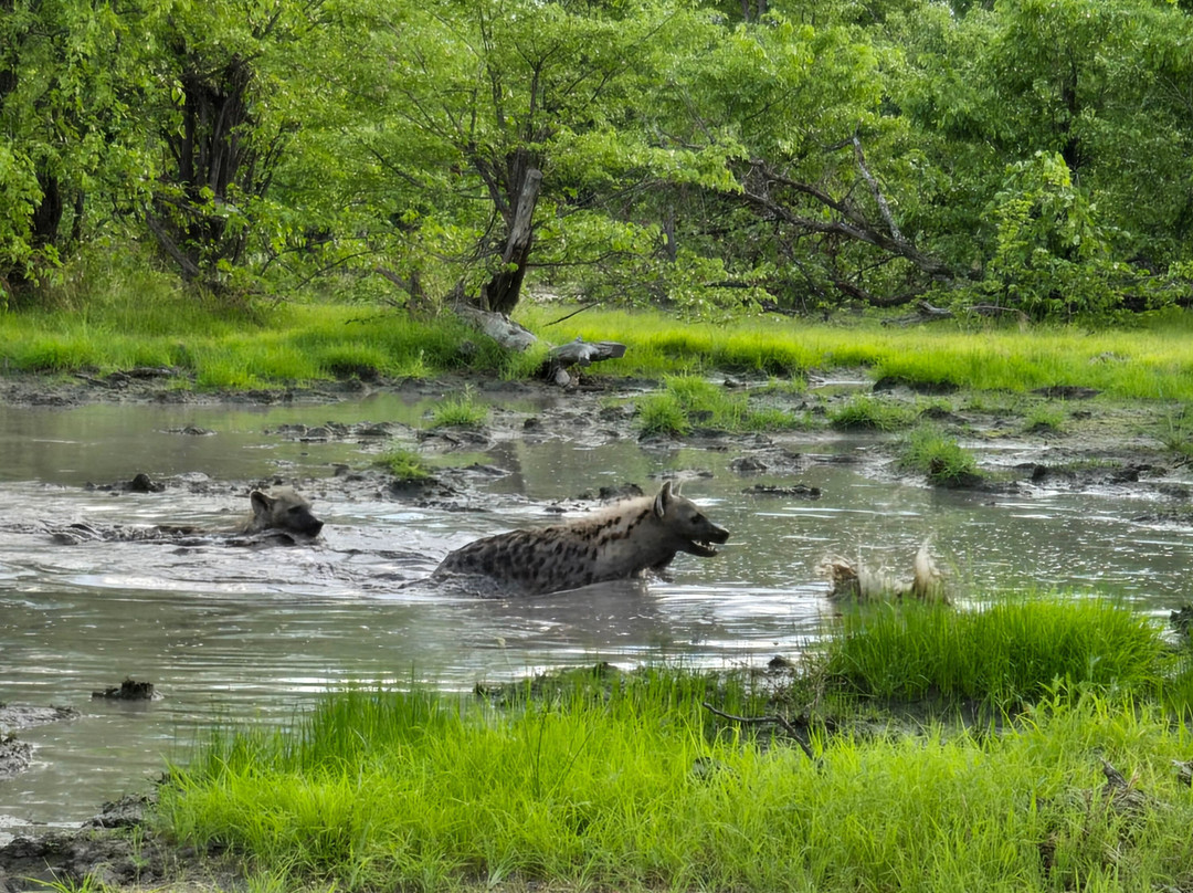 Khwai Guest House主图