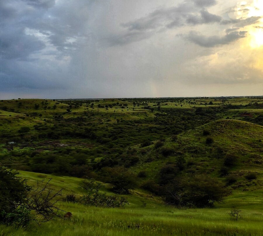 Grassland Safari Maharashtra - Kadbanwadi-Baramati必去景点