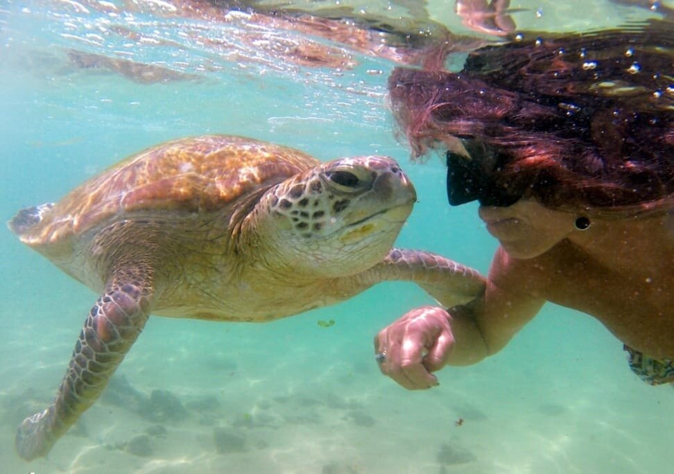 Amaya Tours-尼甘布必去景点