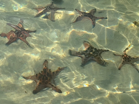 Vietnam Trust Car Rental Company-胡志明市必去景点