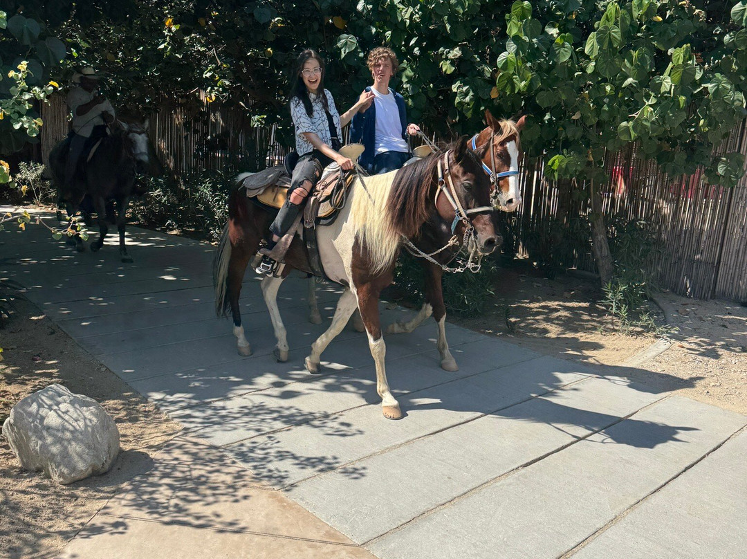 Rancho Animas-Animas Bajas必去景点