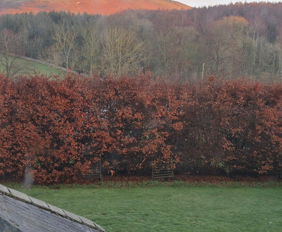 Clennell Hall Country House主图