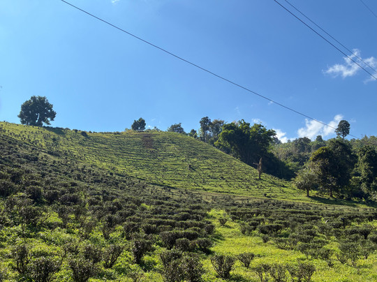Parntrek-清莱必去景点