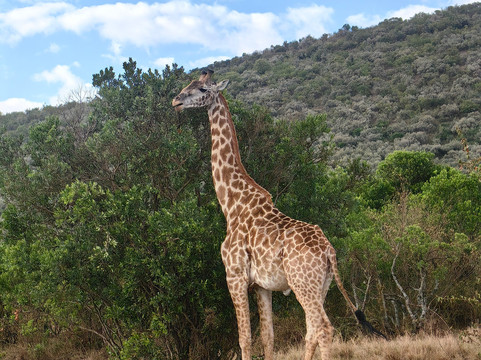 TRIP TRAILS ADVANCE-内罗毕必去景点