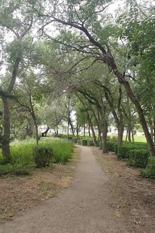 Kiwanis Waterfall Park-里贾纳必去景点