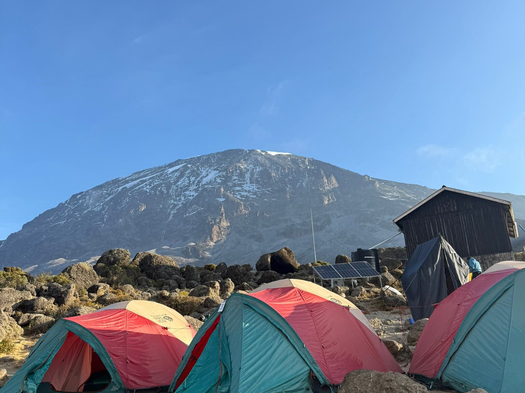 Dotcom Safaris Ltd-莫西必去景点