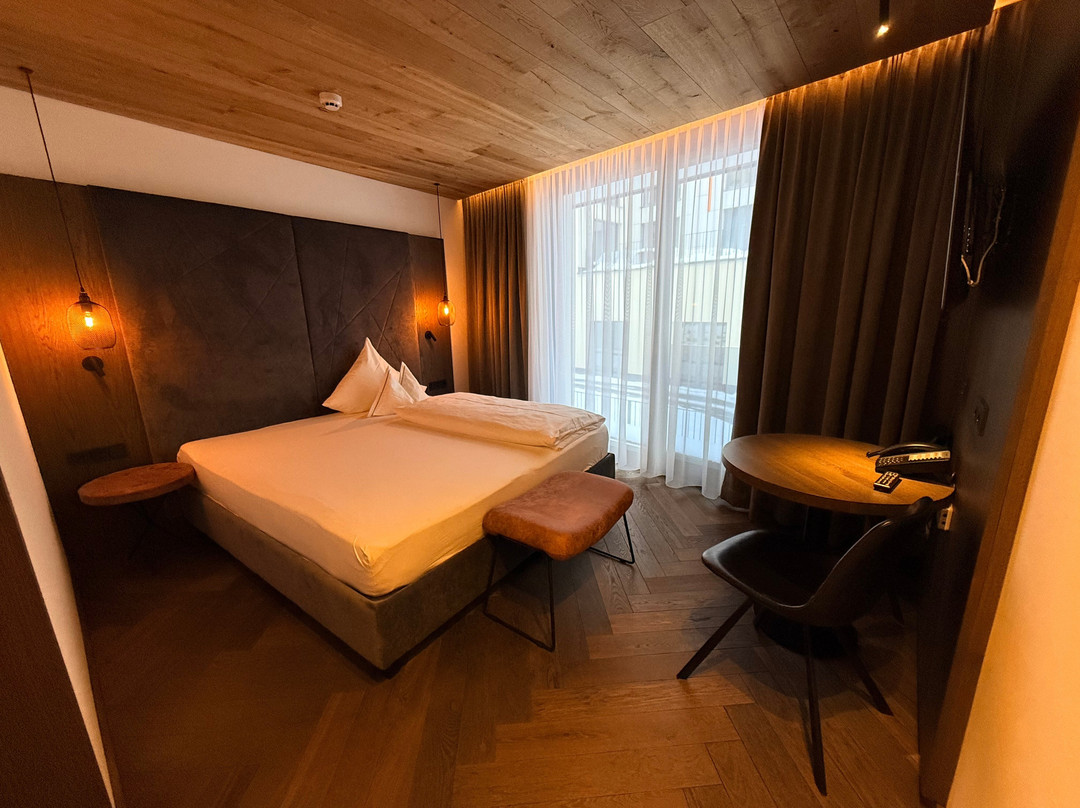 阿尔皮纳酒店主图