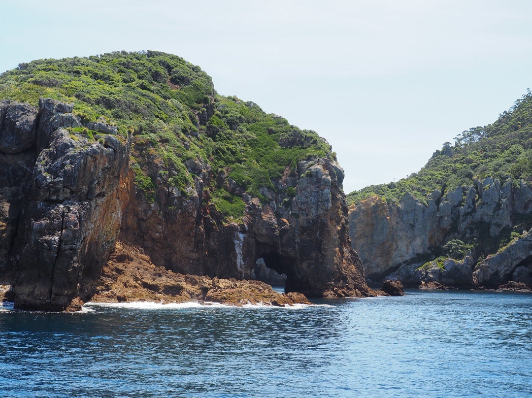 Perfect Day Ocean Cruise-Tutukaka必去景点